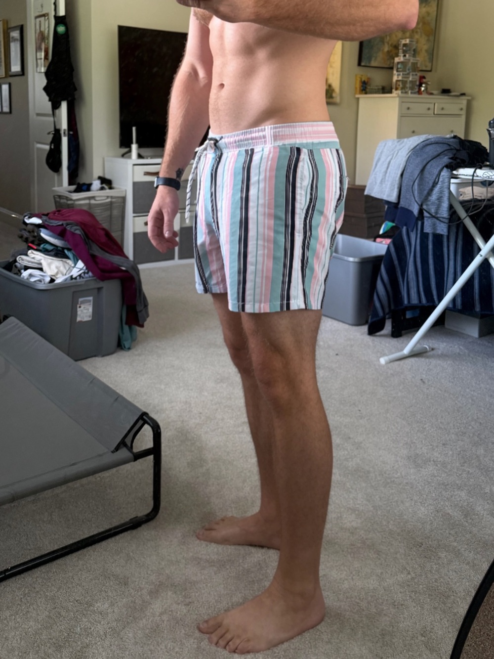 Men's Striped Elastic Waist Swim Shorts - Pastel Multi XL - Picture 2 of 3
